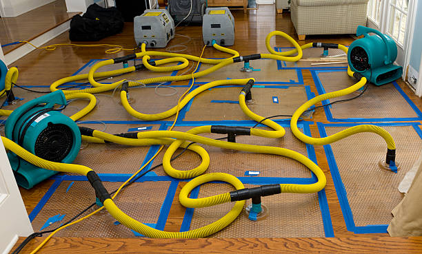 Professional Water Extraction technician working in Saint Joseph, TN